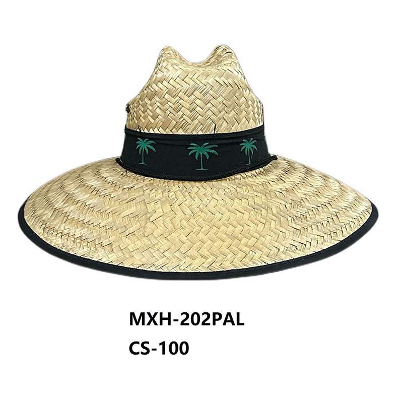 MXH-202PAL CS-100